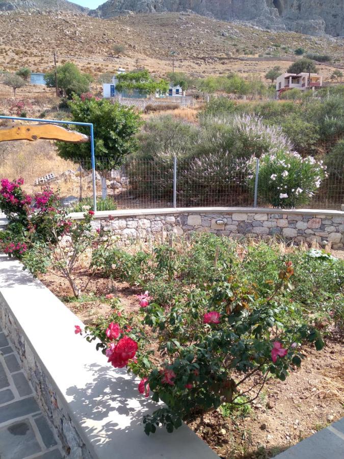 Villa Polymnia Emborios Екстериор снимка