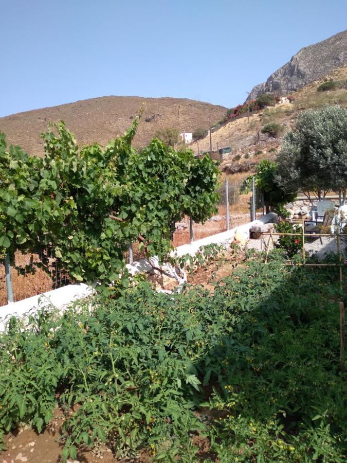 Villa Polymnia Emborios Екстериор снимка