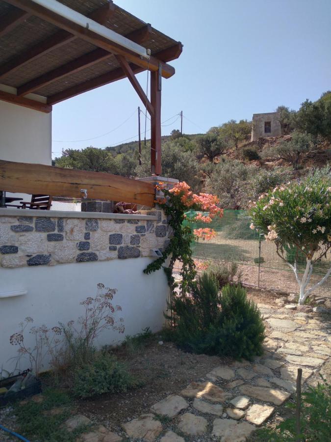 Villa Polymnia Emborios Екстериор снимка